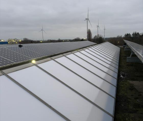 Project i.s.m. Lichtstraatvervangen.nl